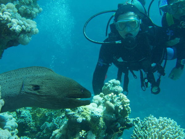 Рафаэль Россиянин