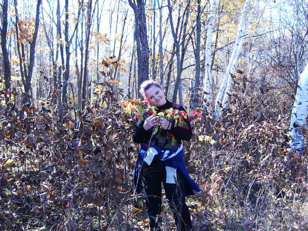 Елена Колесникова