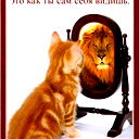 Алекс *