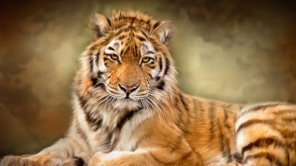 Настюша [Неземная]