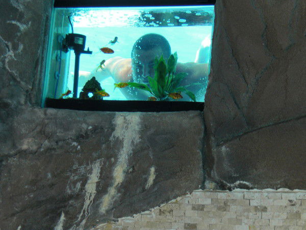 Денис Давыдов