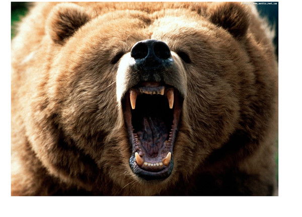 Павел Дорохин