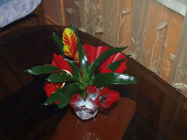 Сергей Решетников