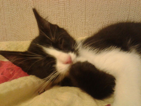 Ольга Никанорова