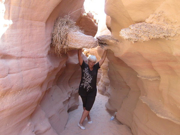 Татьяна Шустова