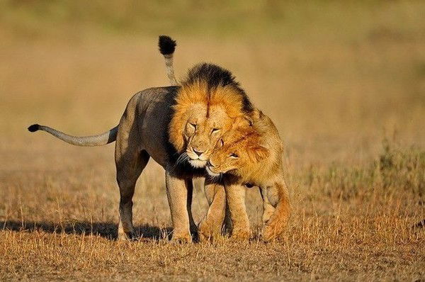 Аймира Еркинова