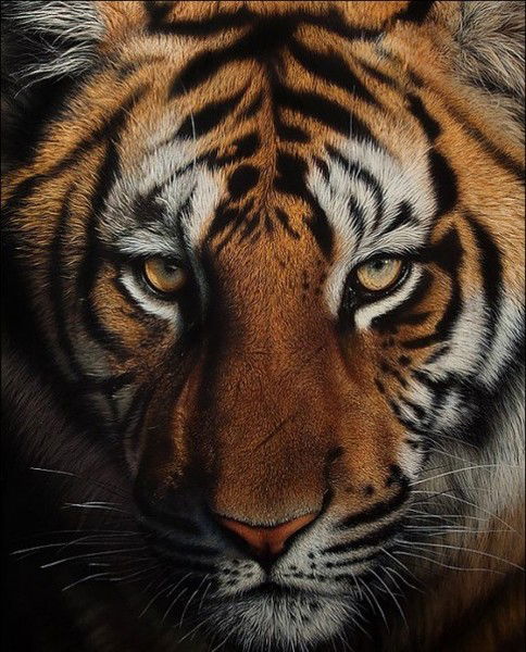 Наталья Климова