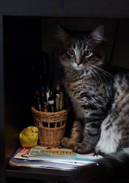 Альфия Файзрахманова