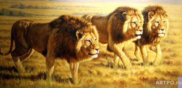 Кайрат Альжанов