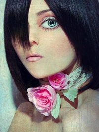 Елена Чекотина