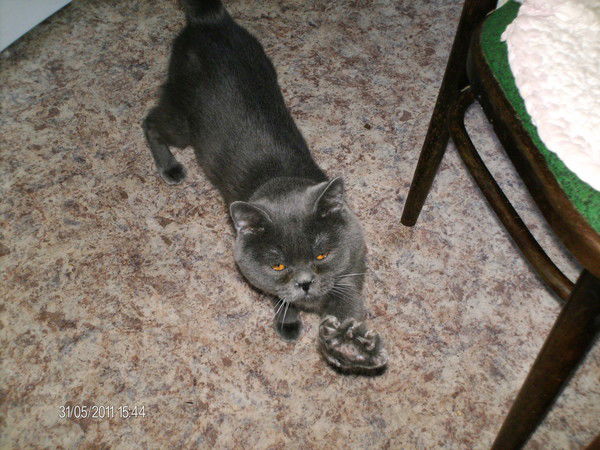 Марианна Сухова