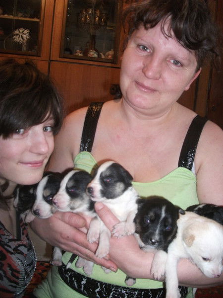 Ирина Меркулова