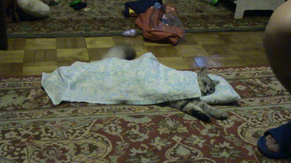 Вера Каменских