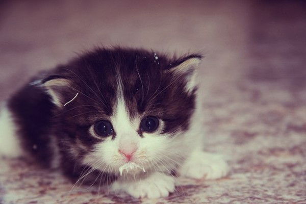 Юлька Котёнова