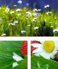 Наталья Васильевна