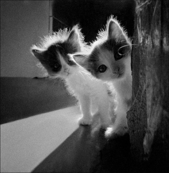 Юля Дерезенко