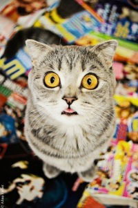 Надежда Монакова