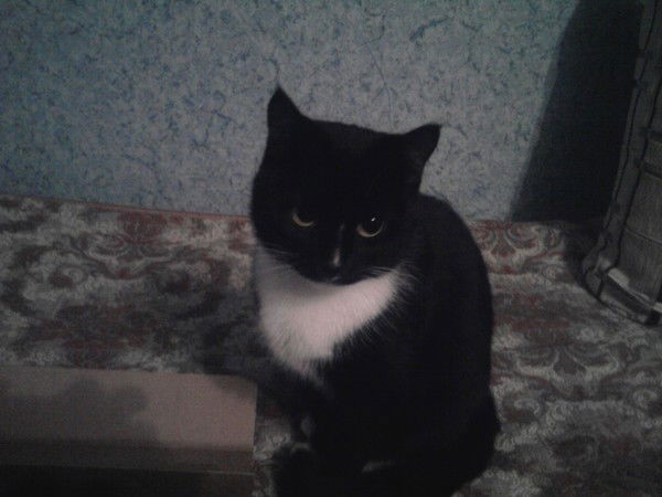 Александр Тумуров