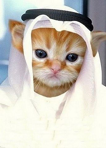 Мади Аймагамбетов