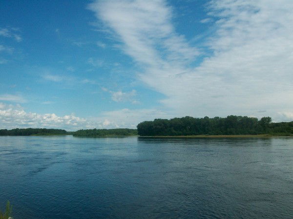 Света Ефимчук