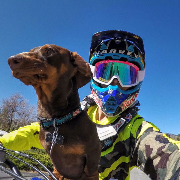 Віталій Гуцул