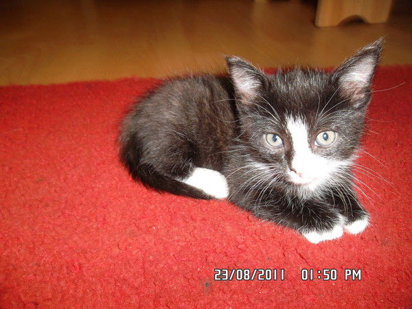 Саша Казаков