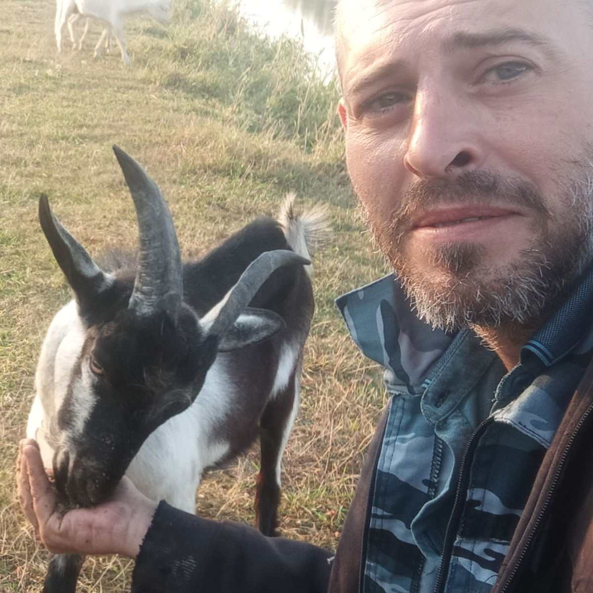 Александр Перепелицын