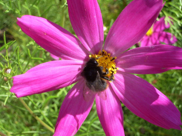 Татьяна Колышкина