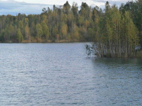 Юля Вербицкая