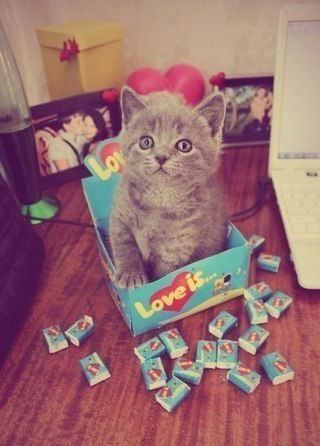 Бугага Ахаха