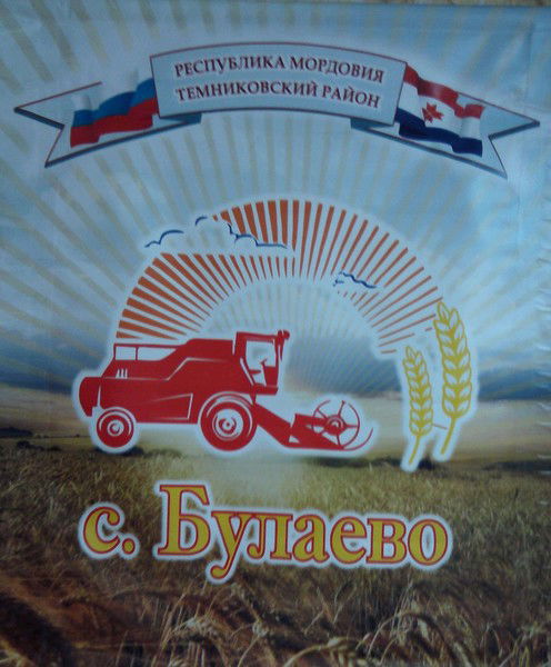 Администрация Булаевского С.п Темниковского Муниципального Района Рм