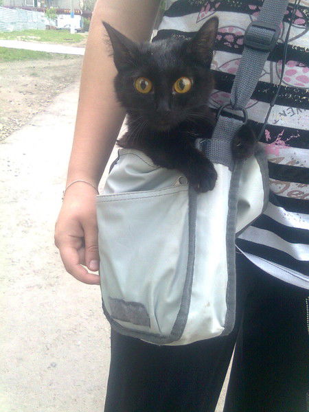 Ольга Трошина