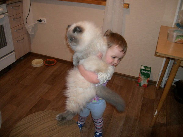 Андрей Краузе