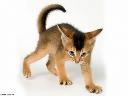 Оксана Рублева