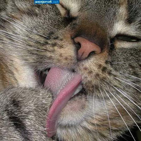 Роман Афонин