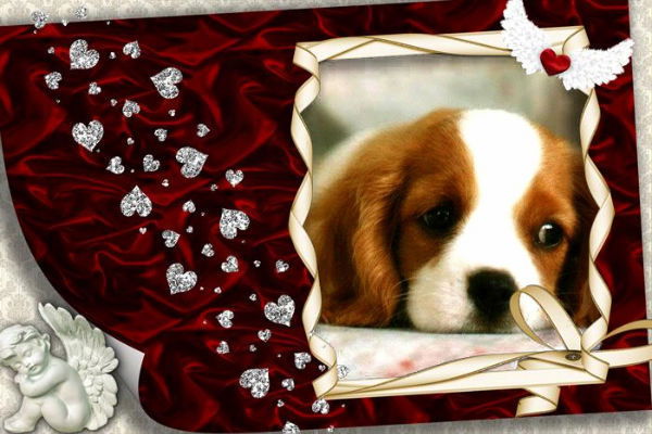 Рада Кудиярова