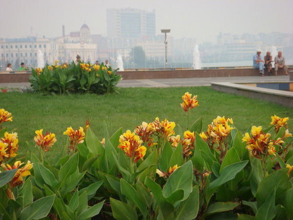 Наташа Мезина