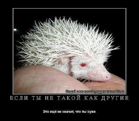 Гораций Квинт