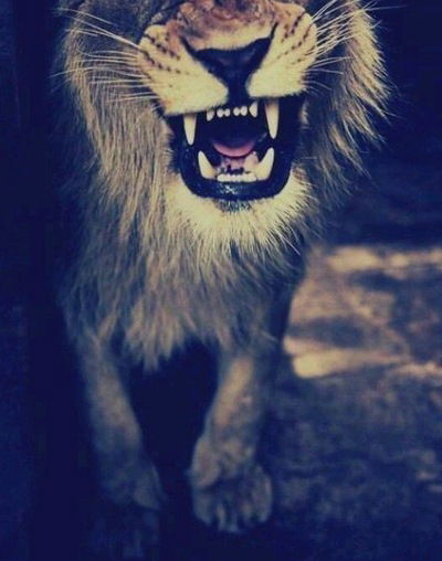 Аделия Тухбатова