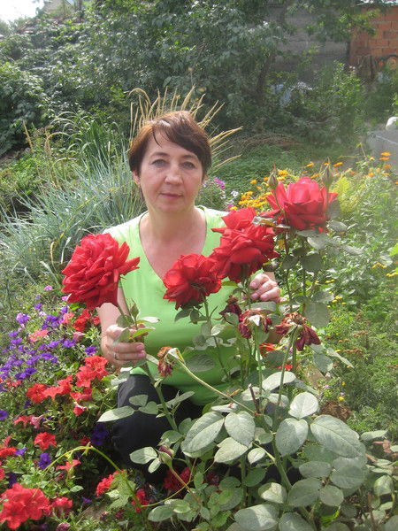 Елена Зотеева