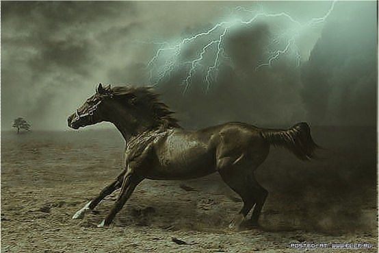 Наталья Кропачева