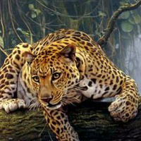 Нюрбек Джахбаров