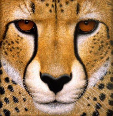 Arys_Muzeum Arys_Muzeum