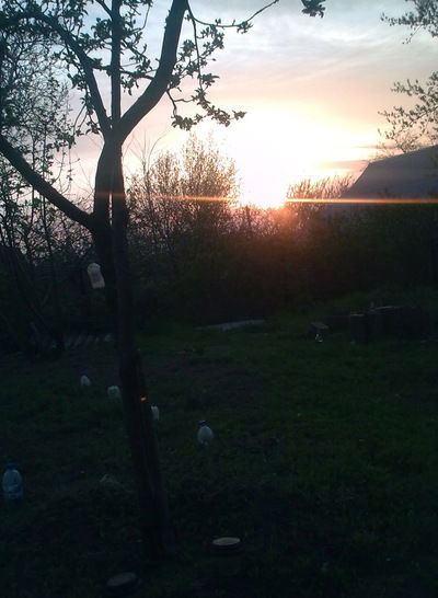 Дима Аракчеев