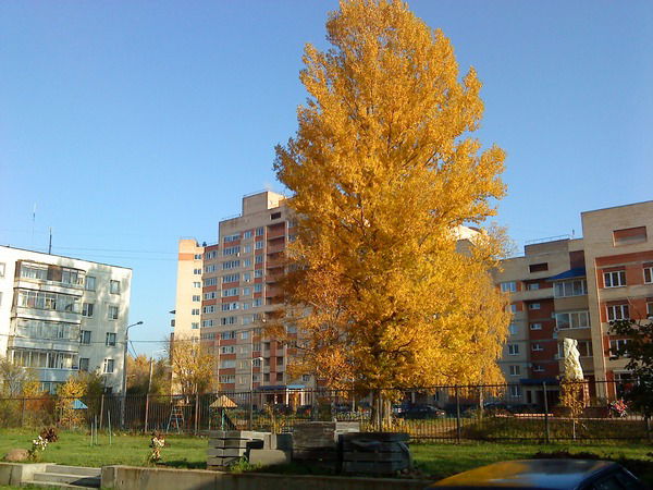 Алек Симонов