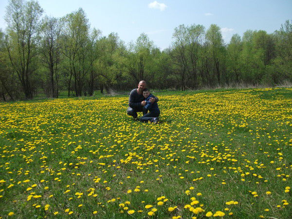 Андрей Скота