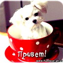 Anka @@@