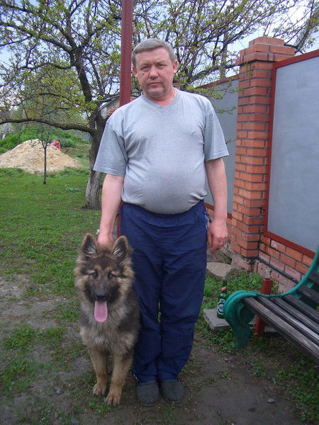 Алексей Резниченко