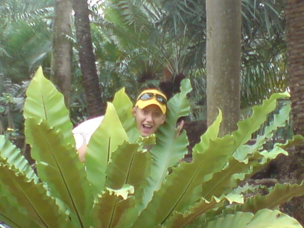 Алёна Корыткина