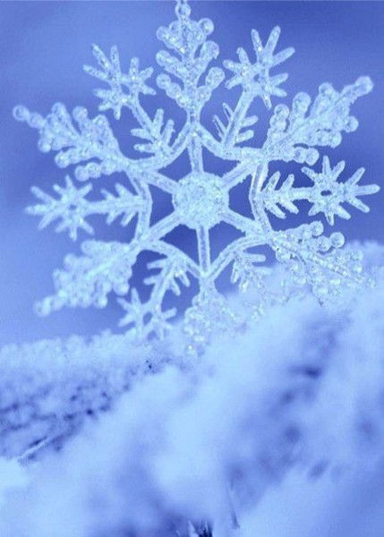 Надежда Аверьянова